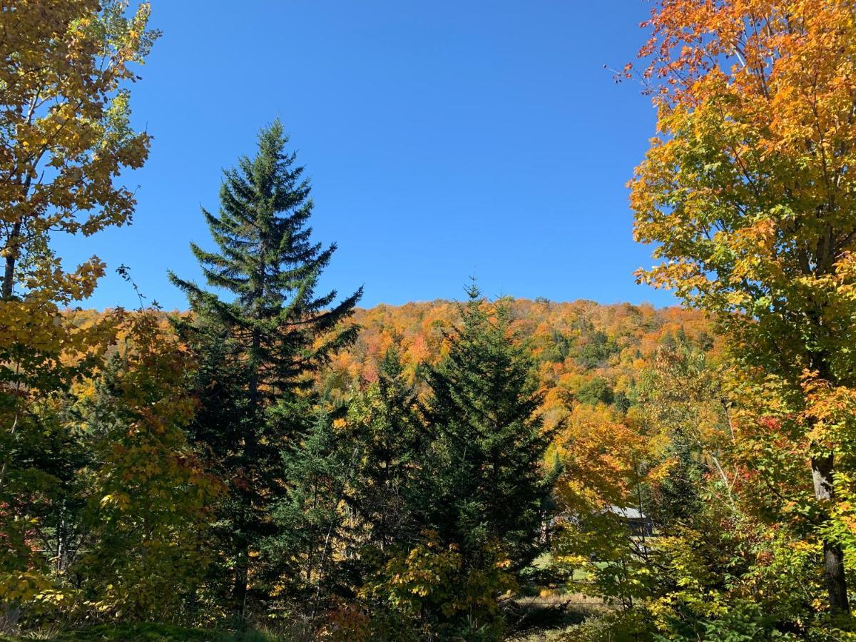 Loft Nature Laurentides Val-des-Lacs 外观 照片