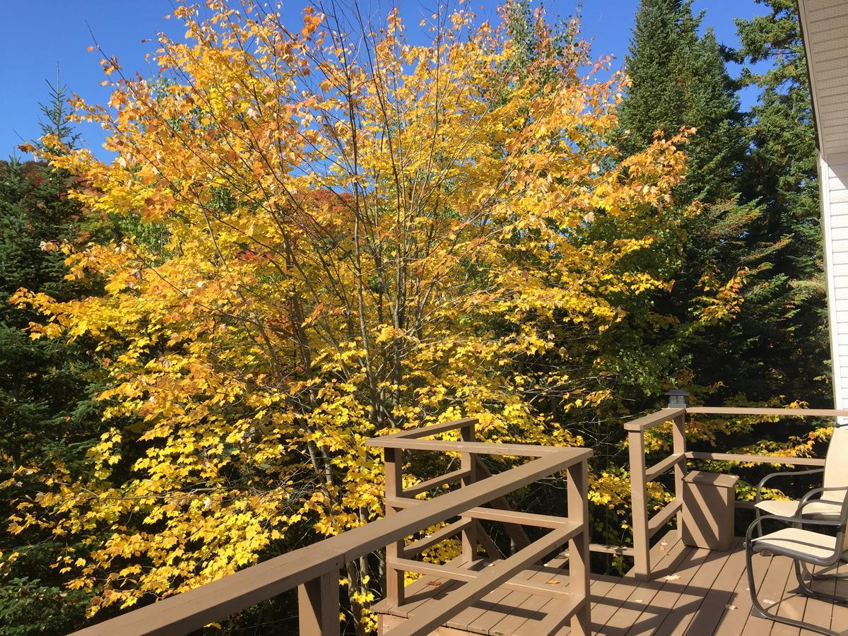 Loft Nature Laurentides Val-des-Lacs 外观 照片