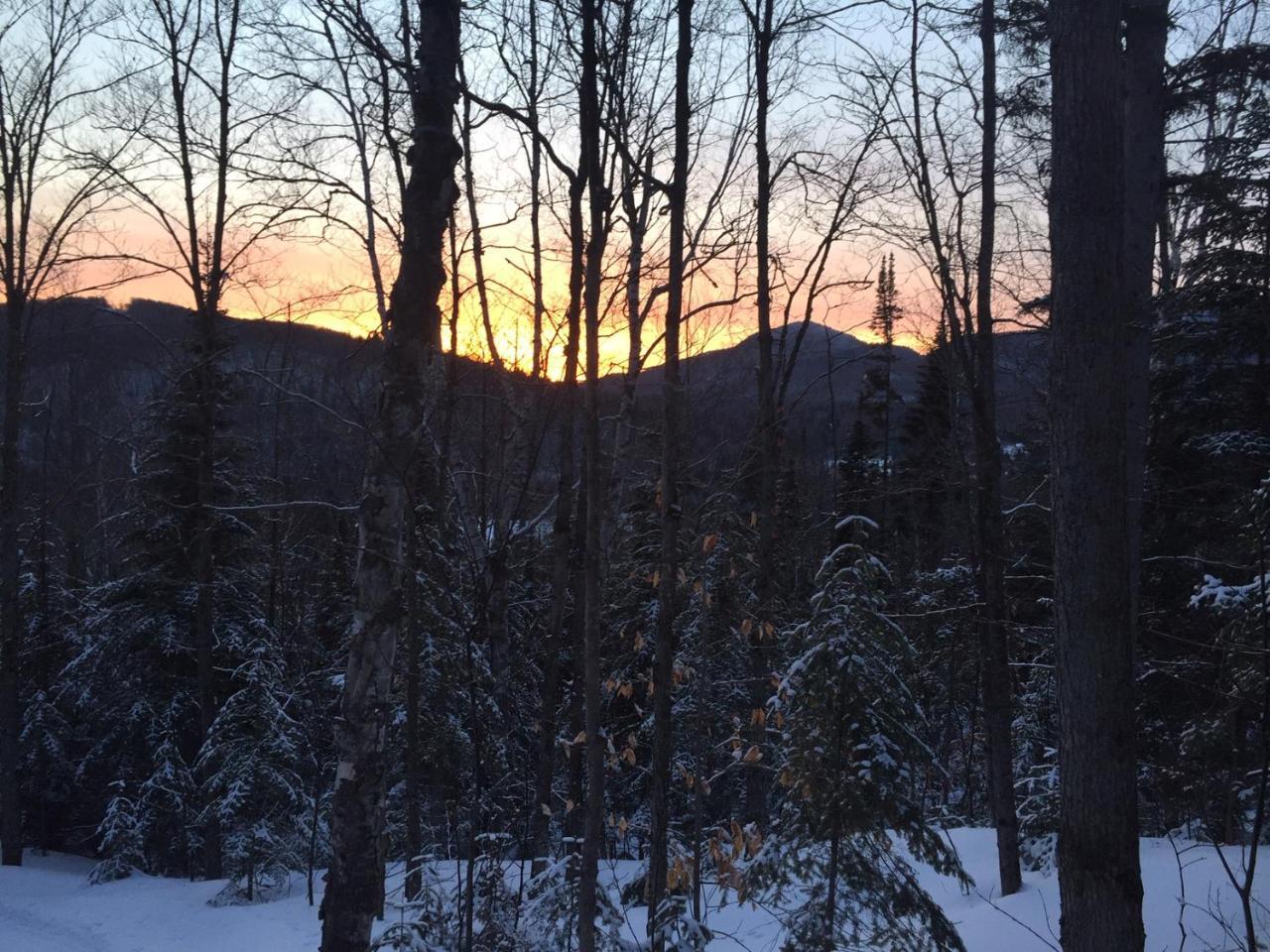Loft Nature Laurentides Val-des-Lacs 外观 照片